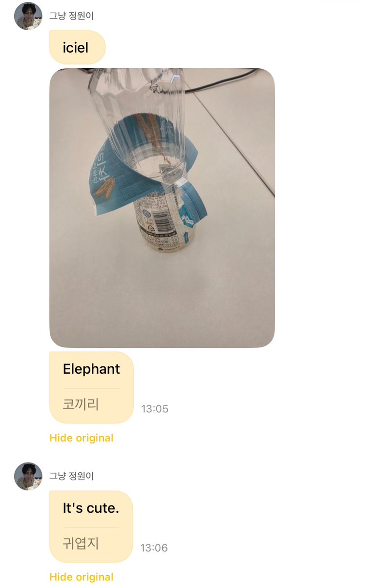 EN7ernally's tweet photo. #JUNGWON 🌟💬

🐈 y/n
🐈 📸
🐈 elephant
🐈 it’s cute right

😭😭😭 https://t.co/avudjZMBlx