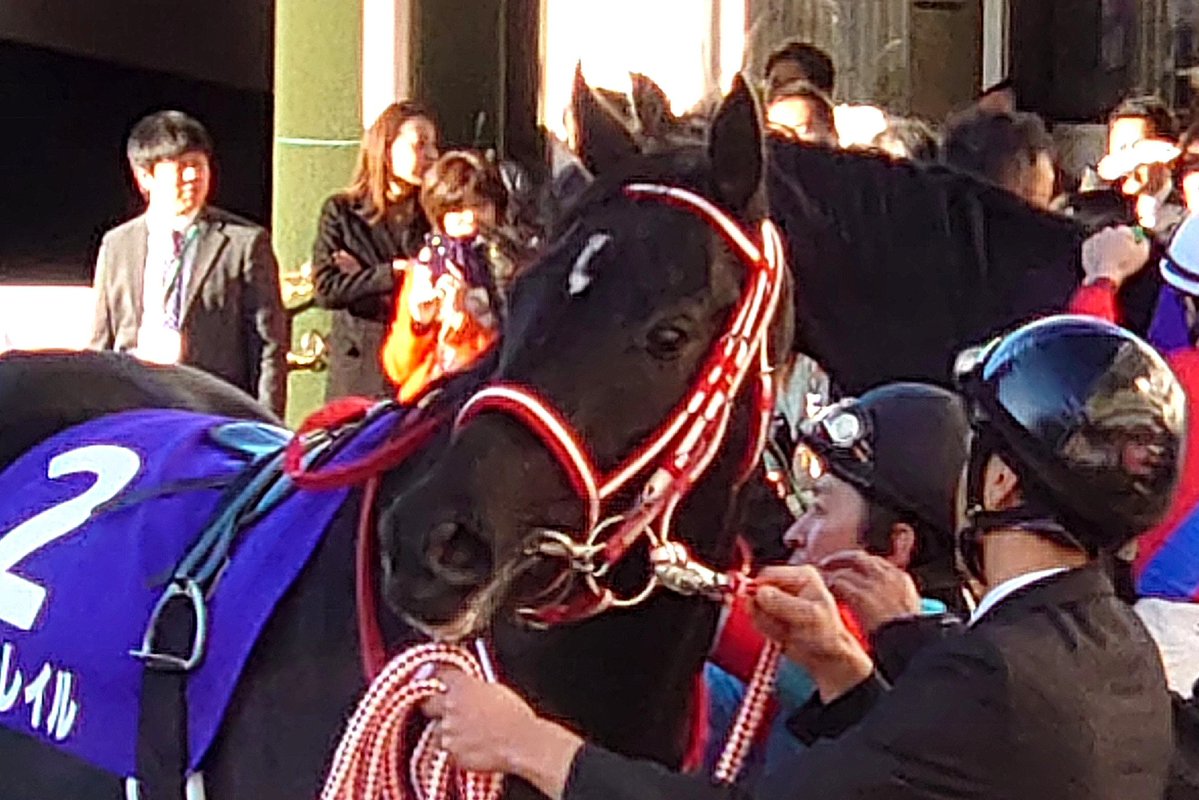 doze196487's tweet photo. 最強の三冠馬は諸説あるけど最可愛（さいかわ）の三冠馬はコントレイルということでよろしいか❓ https://t.co/fTgH77hCmV