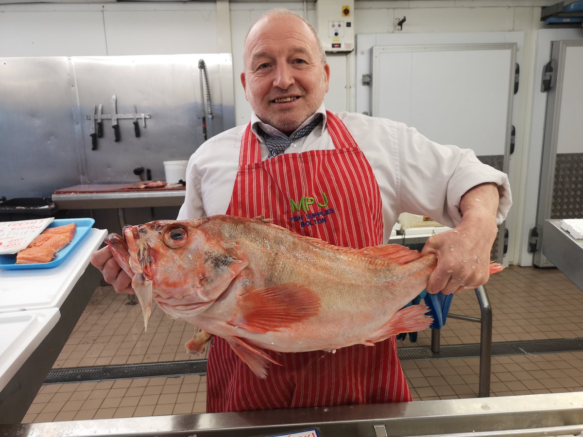 joblijob16's tweet photo. The #fishmonger and the fish Chef 👨🍳
@bolton_market https://t.co/NLvulHfQaz