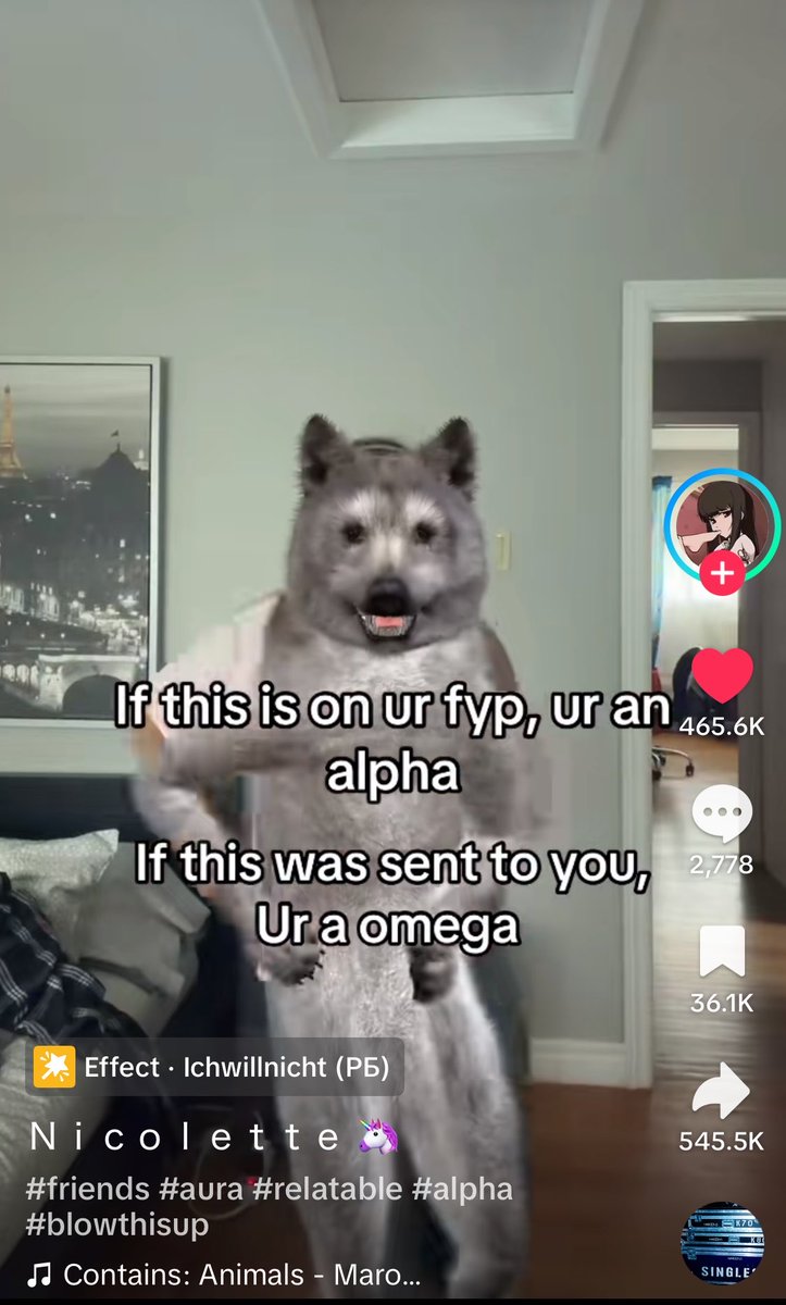 FaeniliaVT's tweet photo. this’s the first tiktok I send to my friends on my personal account after abandoning that tiktok account for few months https://t.co/TQri0EPKwz