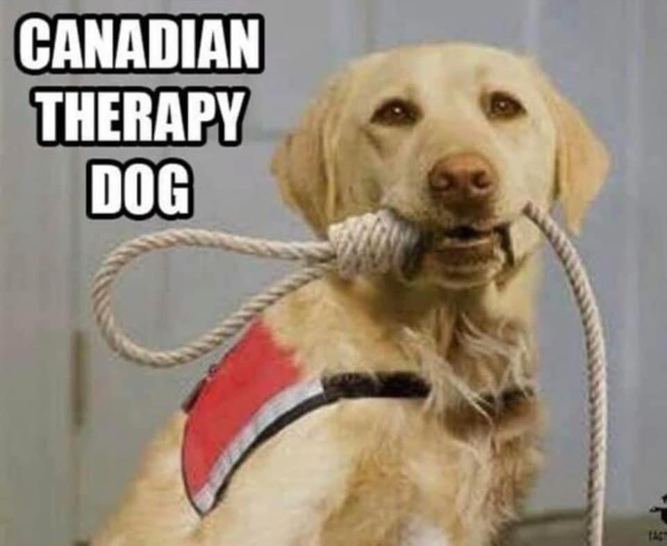 SlipperySnopes's tweet photo. @CanadianDivaDi @Timcast https://t.co/3k0i1e0RCJ