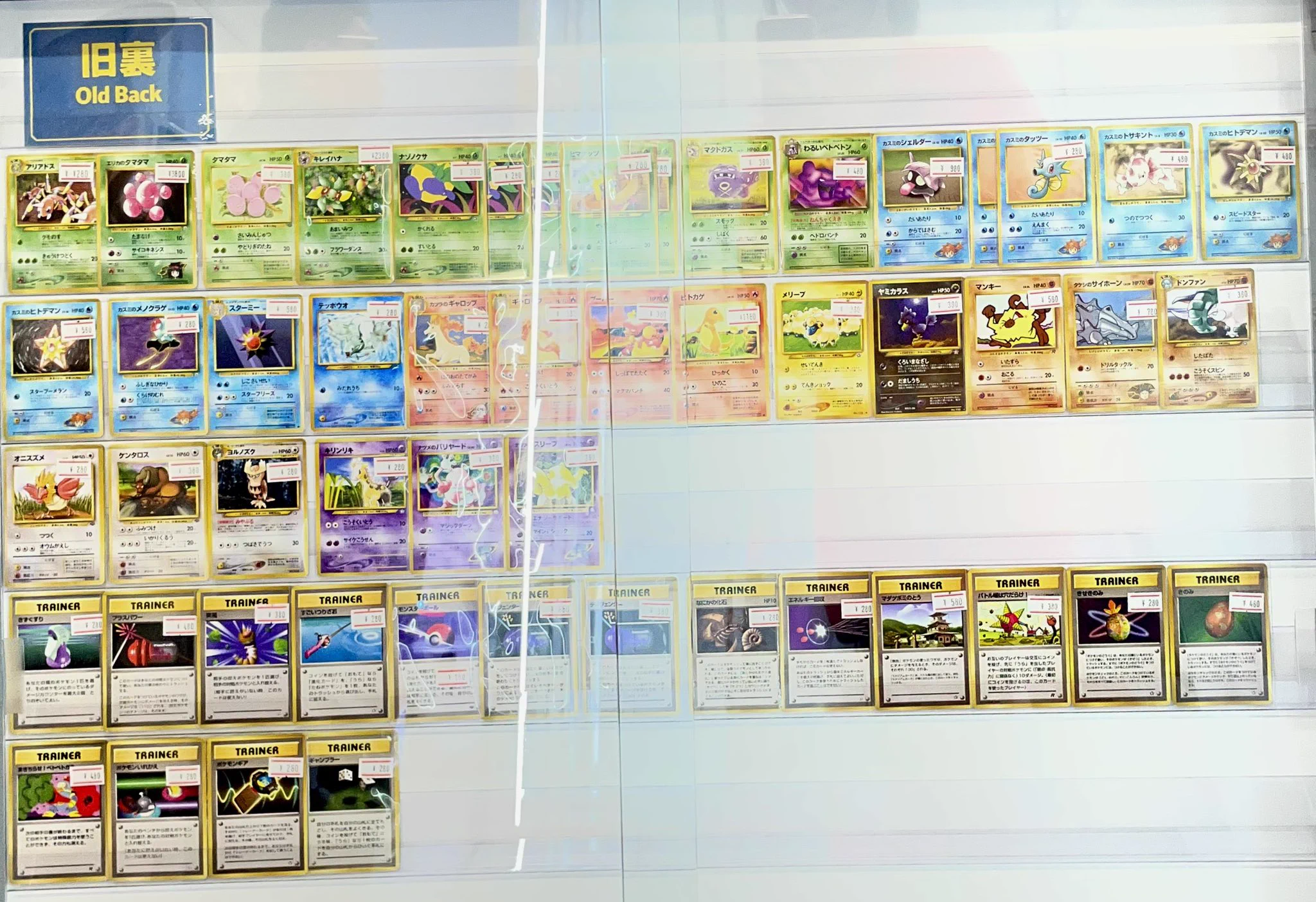 シンソク池袋店@ポケカ ワンピ カードショップ PSA 鑑定品 TAX FREE