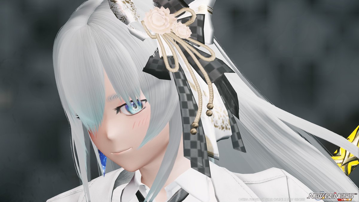 Kobusi_PSO2 tweet picture