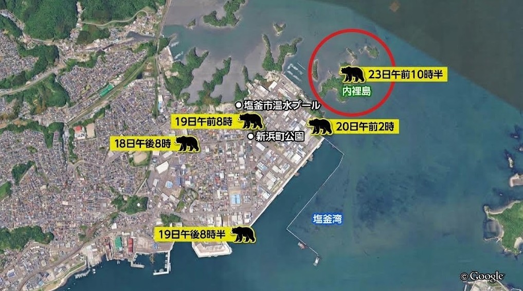 TBC_houdou's tweet photo. クマが泳いで塩釜市の離島に上陸　宮城 https://t.co/PmgxHMn3sU https://t.co/2j6NpGieta