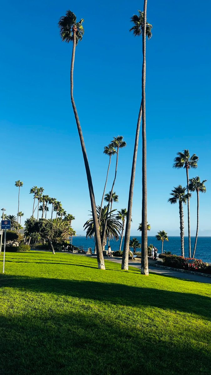 Ava__Lune's tweet photo. Laguna Beach can completely satisfy your longing for California sunshine, beaches, and palm trees… You could easily spend an entire weekend here doing nothing but enjoying the moment. https://t.co/2HiJiibNjp