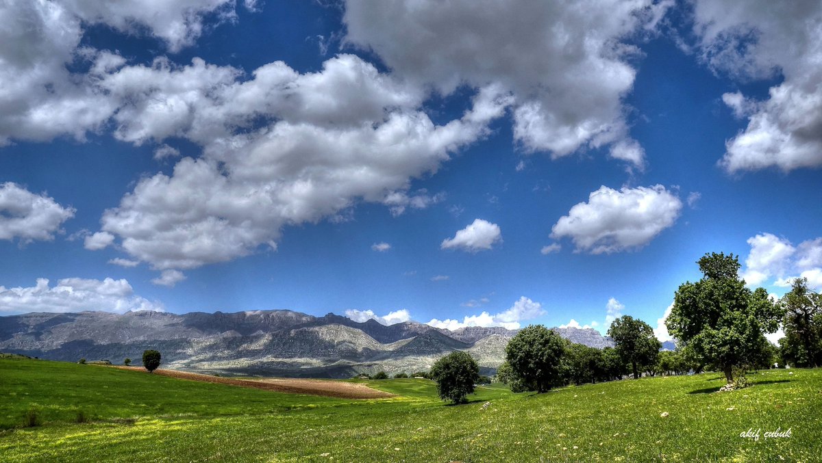 EmmaCookmjqx's tweet photo. First, I heard what sounded like a creaking coming from my parents’ room. https://t.co/svplphH7uX