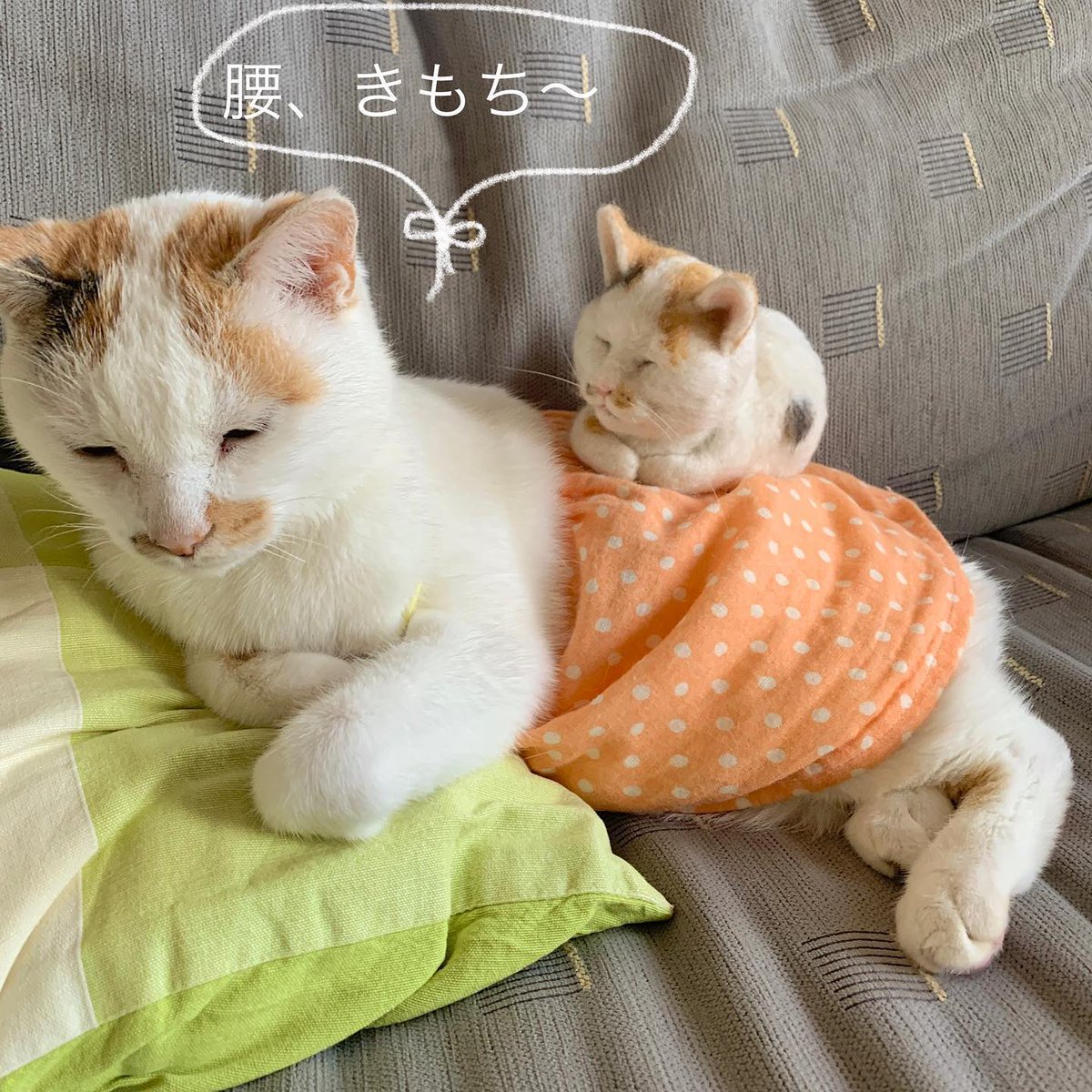 ElizShames9r's tweet photo. @grok ほどよい脱力感って意外とむずかしいよね🫠 https://t.co/45w5VjSOZK