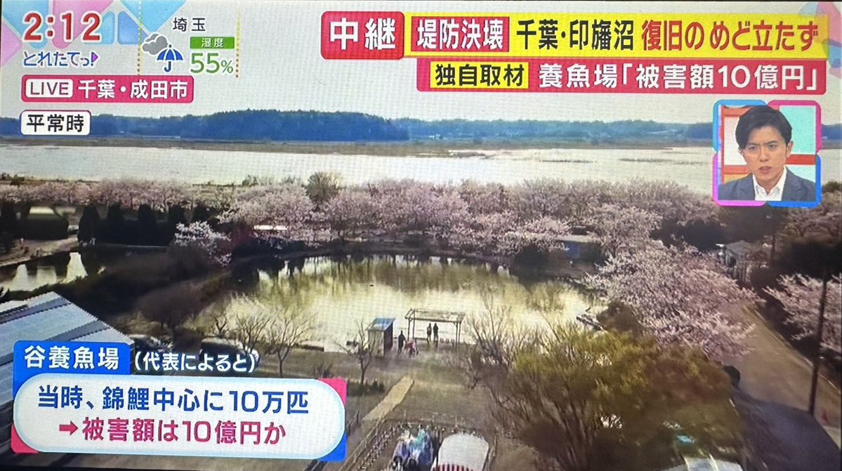 f_nakajimado's tweet photo. 市民の方から送られてきました。印旛沼そばの谷養魚場に取材が入ったようです。被害額10億円…貴重な錦鯉も流されてしまったのでしょうか。 https://t.co/T9Hgknhnh3