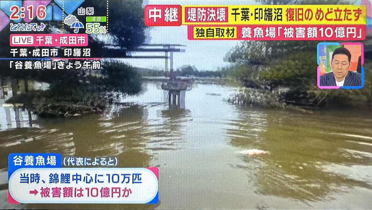 f_nakajimado's tweet photo. 市民の方から送られてきました。印旛沼そばの谷養魚場に取材が入ったようです。被害額10億円…貴重な錦鯉も流されてしまったのでしょうか。 https://t.co/T9Hgknhnh3