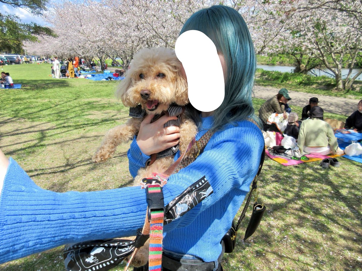 winter_dmt's tweet photo. 大好きな大好きな大好きな愛犬が
17歳半頑張って生きてくれたよ！
頑張りすぎってくらい頑張ってくれた！
連休の間ずっと真横でずっと一緒にいれて最後もそばにいれて悔いはない！
世界一いい子で心から愛してた！
寂しいけど頑張るよ！！！
よく頑張りました！！😭🌻 https://t.co/uar06qf57W