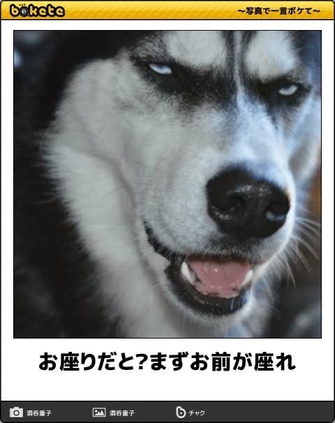 kajikura_desu's tweet photo. https://t.co/VwswI5RSCz