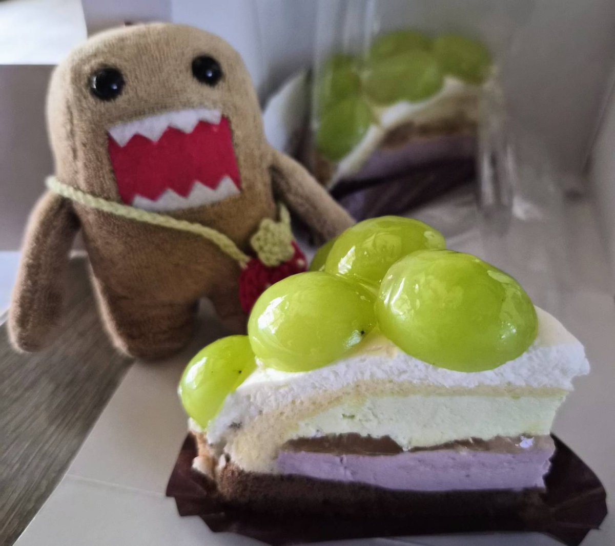 d7_sgm's tweet photo. シャトレーゼのシャインマスカットケーキだよ🍇💚🍰

瑞々しくてほっぺた落ちちゃう美味しさ😋 https://t.co/Zny94vTEqG