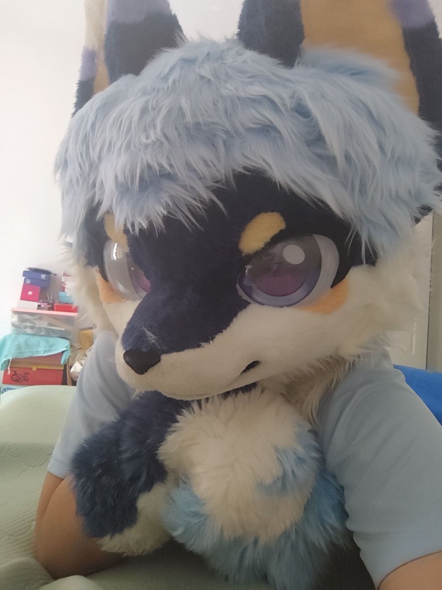 FurryQingYi's tweet photo. 来找我玩呀～

#兽装 #furry #FursuitEverday #fursuit https://t.co/TEyKdmuny8