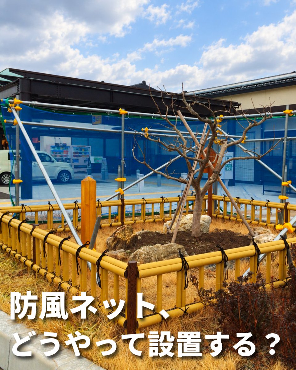 kuicks's tweet photo. 強風から野菜や庭木を守る「防風ネット」🍃 倒れない設置のポイント��3つ！
1.単管パイプで補強しやすいフレームに
2.斜めの「控え」で風の力を分散
3.基礎固定にはクランプが使える「くい丸」
★長い杭を打つ手間を減らす「さや管工法」もおすすめ。基礎と支柱を分けてラクに施工できます💡 https://t.co/zVT7CobGjN