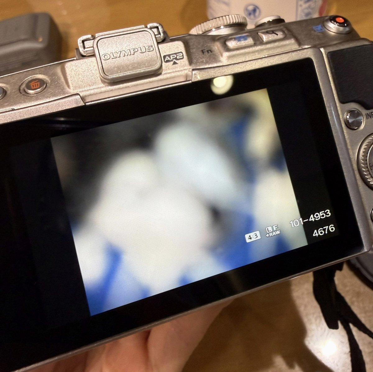 MPDLPracticas's tweet photo. 両親離婚してる身からすれば、離婚は子供にデメリットもあるよなー。女性側のデメリットはないけど、子供側はデメリットあるよ、普通に。 https://t.co/aeEPrP9dwL