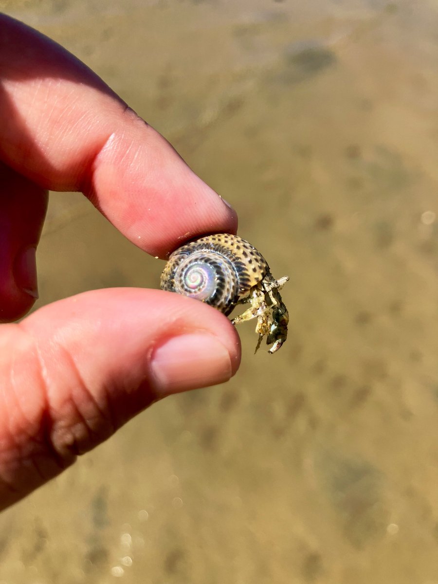 HaRo1986's tweet photo. はじめまして、父母ヶ浜🐚 https://t.co/QSibl0Jhkk