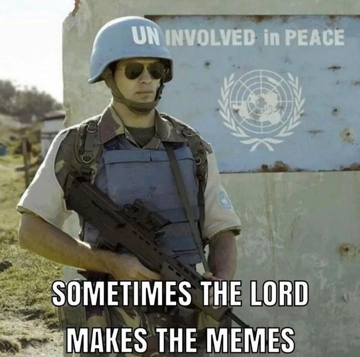 RedpillDrifter's tweet photo. The United Nations is the headquarters for the New World Order. 

They just got the finger. https://t.co/8gUdBA7OW7