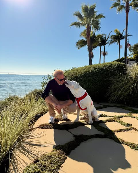 KevinMCostner8's tweet photo. Sometimes the best view is simply looking forward with a loyal friend by your side. Taking a moment to appreciate the quiet before the next chapter. Stay safe, everyone.
 #Bobby #OnTheWater #TheQuietMoments #Loyalty #Perspective https://t.co/90Z4PVd7QG