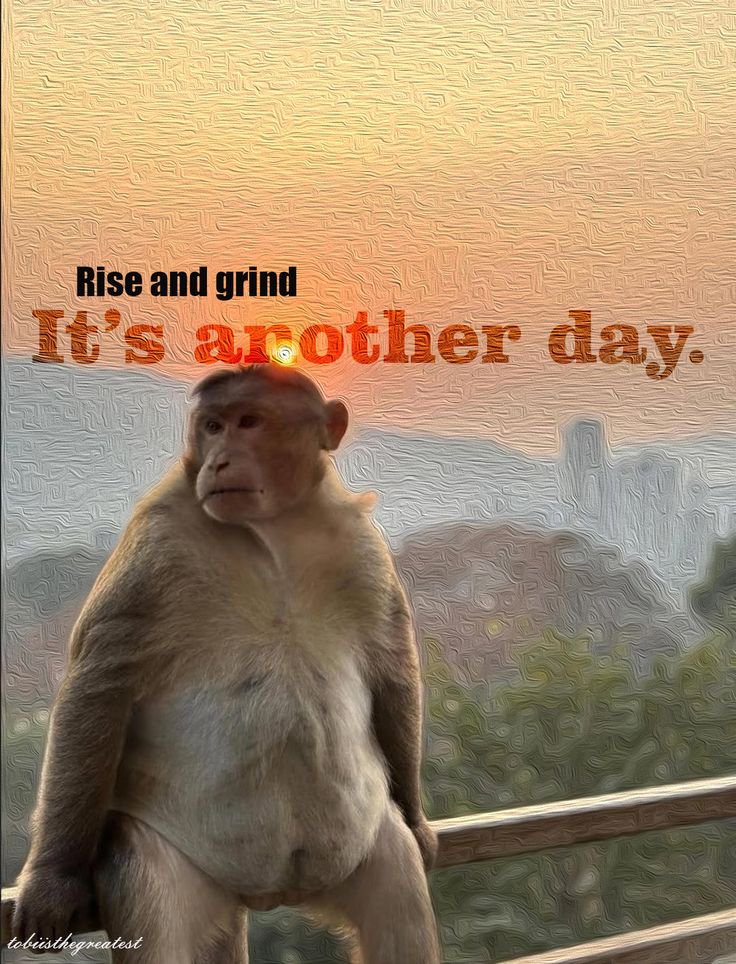 Matrx10003's tweet photo. GM CT 
It’s midweek already.
Let’s keep the momentum going, stay locked in, and continue the grind.
One step at a time. One win at a time. 🫡
Happy Wednesday fam
Let's win today 💪🏽 https://t.co/Qy1D9OXzpz