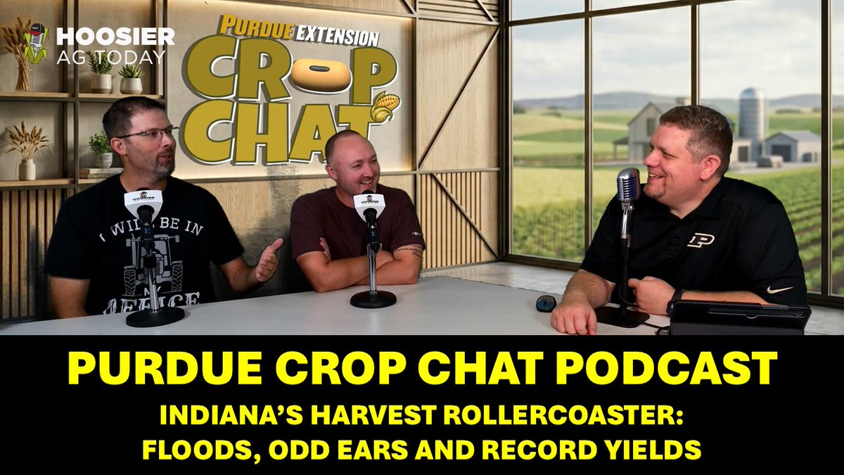hoosieragtoday's tweet photo. On the latest Purdue Crop Chat Podcast: Dan "Corn" Quinn and "Soybean Shaun" Casteel with @PurdueExtension unpack the wild weather rollercoaster that left growers battling severe floods, lodging, and unexpected crop abnormalities.

WATCH THE VIDEO PODCAST: https://t.co/RZKdX7TZSj https://t.co/NYxtqaHQZm