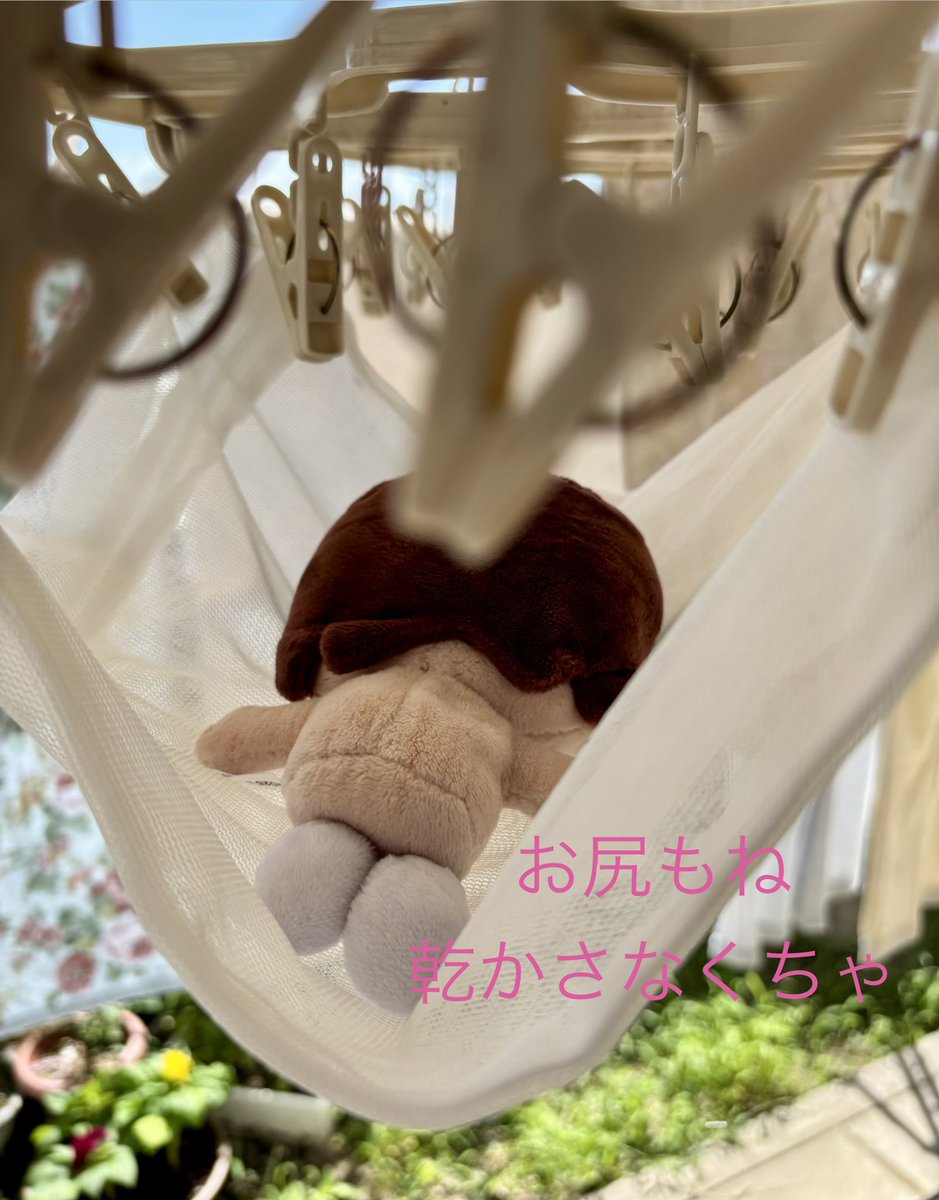 PINKtoBLACKoshi's tweet photo. 初めてのお風呂 https://t.co/7B99lUUCV9