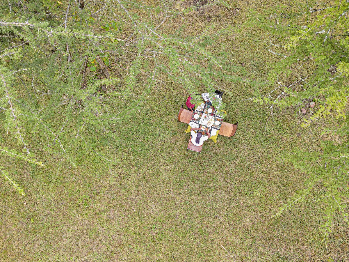 CampCastel's tweet photo. A picnic for two, good food, fresh air and the Mara bush as your backdrop.

At Castel Mara, even a simple meal becomes a moment to slow down, enjoy each other’s company and take in the views.

What more could you ask for?

Book (+254) 0758955220
https://t.co/WeUE3LEmLS https://t.co/WwvqIC6Dtz