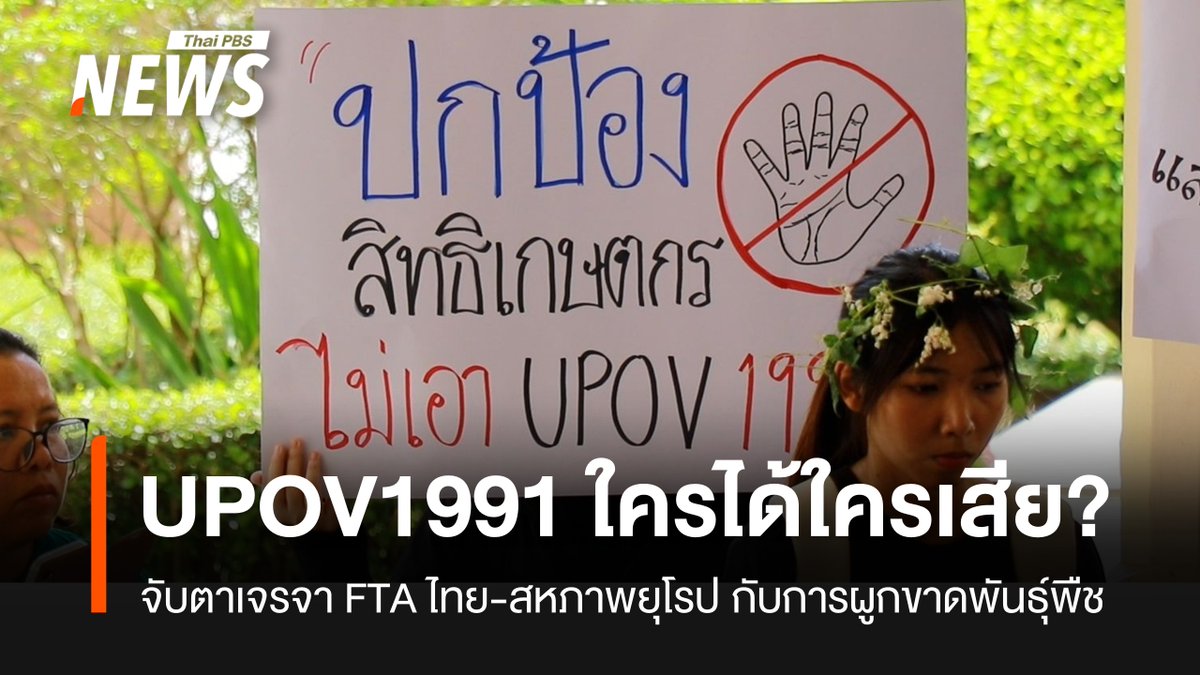 ThaiPBSNews's tweet photo. UPOV 1991 ใครได้ใครเสีย? คำถามถึงการผูกขาดพันธุ์พืช
https://t.co/i8m9CuqREC
#UPOV #UPOV1991 #พันธุ์พืช #ข่าวไทยพีบีเอส #ข่าวที่คุณวางใจ #ThaiPBSnews https://t.co/Ce14e2xW0T