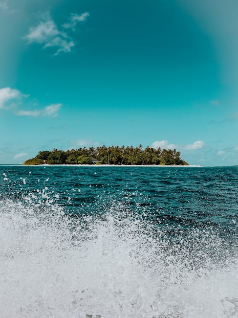 laurence0hlt's tweet photo. body returns to is your perfect reset You deserve balance. This to feel keneth goatley🥧 https://t.co/Ag4ugqNEgA