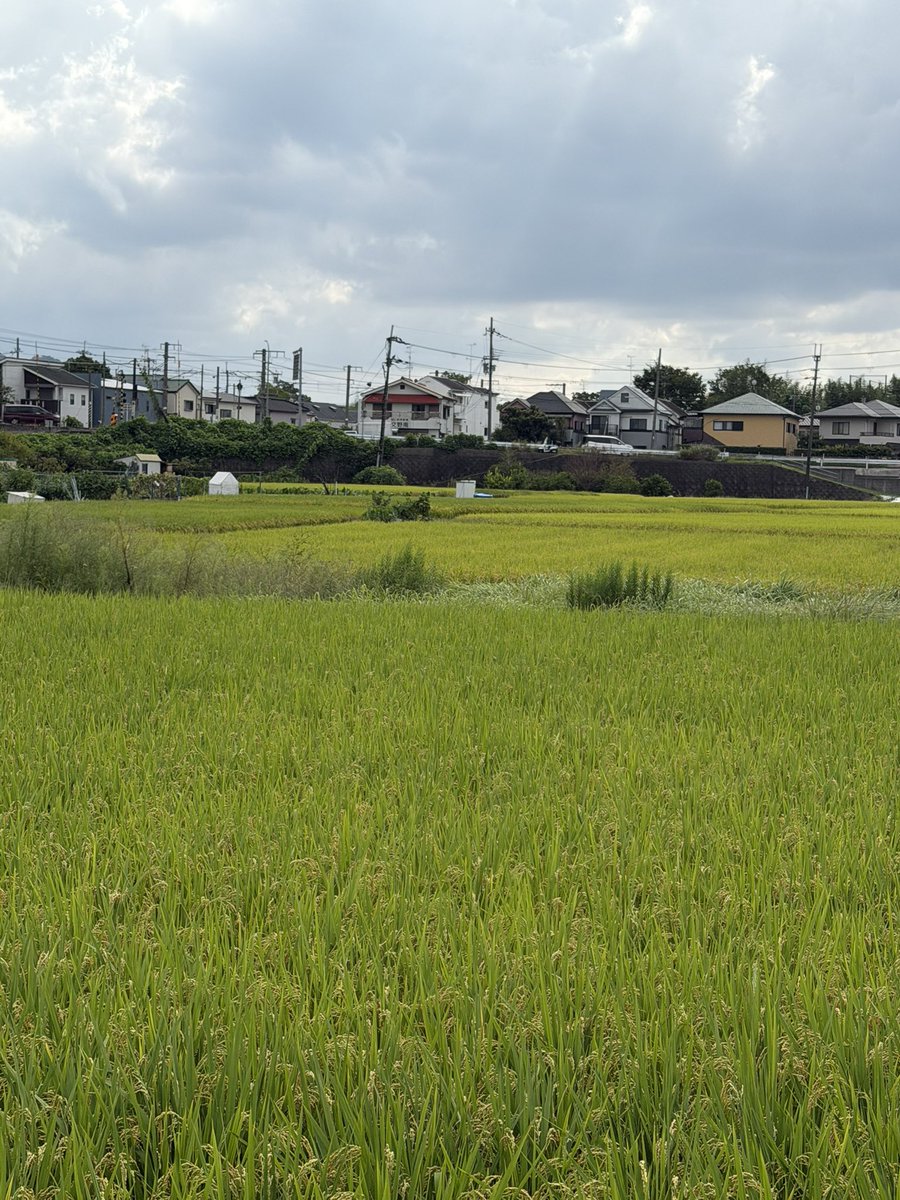 myu_moss's tweet photo. ノリと勢いで運動がてら京橋から片町線だか学研都市線だか沿いへ旅に🚲

鴫野、放出、徳庵、鴻池新田、住道、四條畷、忍ヶ丘、寝屋川公園、星田
適当に走ってたら第二京阪にぶつかりー
河内森、河内磐船へ
目的地に到着したけどスグに折り返し

ナビ通りだと1時間で家に着くみたい🐮

マック買って帰る https://t.co/l6to9h8o6v