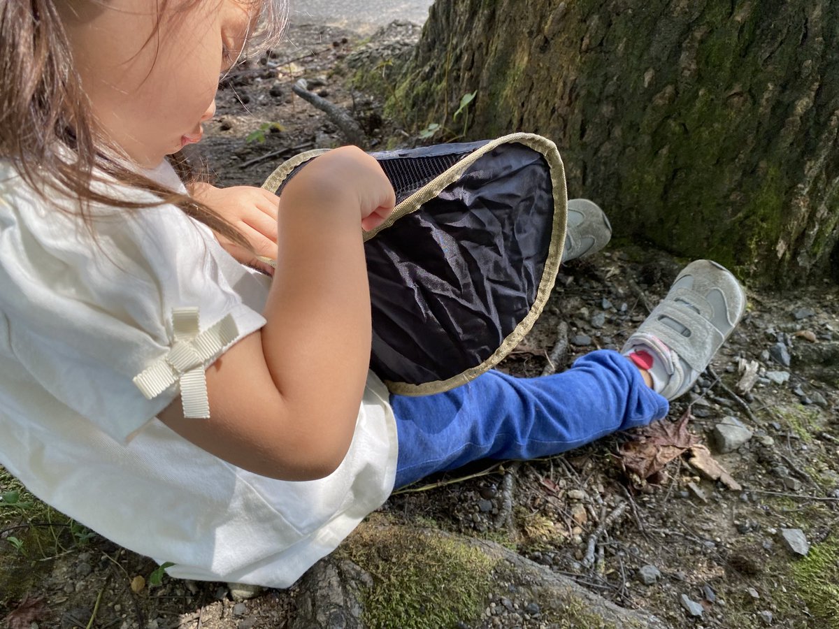 mihoho344's tweet photo. 今日もドングリ
鶴見緑地、あくあぴあ芥川、千里南公園、中の島公園と連休はいっぱいお外で遊びました

ヤモリがいたので観察しました
苦手かと思いきや網越しに撫でていました

明日から仕事
学校の宿題もまだ
やだやだ https://t.co/Asj8LipRFw