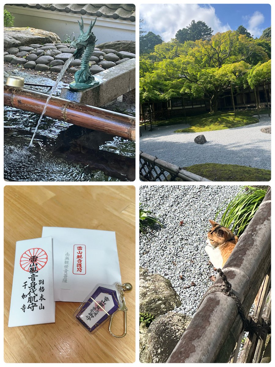 love_rotary's tweet photo. お参りに行きました
腰痛のため、観音堂までは上れず…下から合掌🙏

大楓が色づく季節だけでなく、今の時期もいいですよ
#雷山
#千如寺 https://t.co/Sw3JwHlkkd