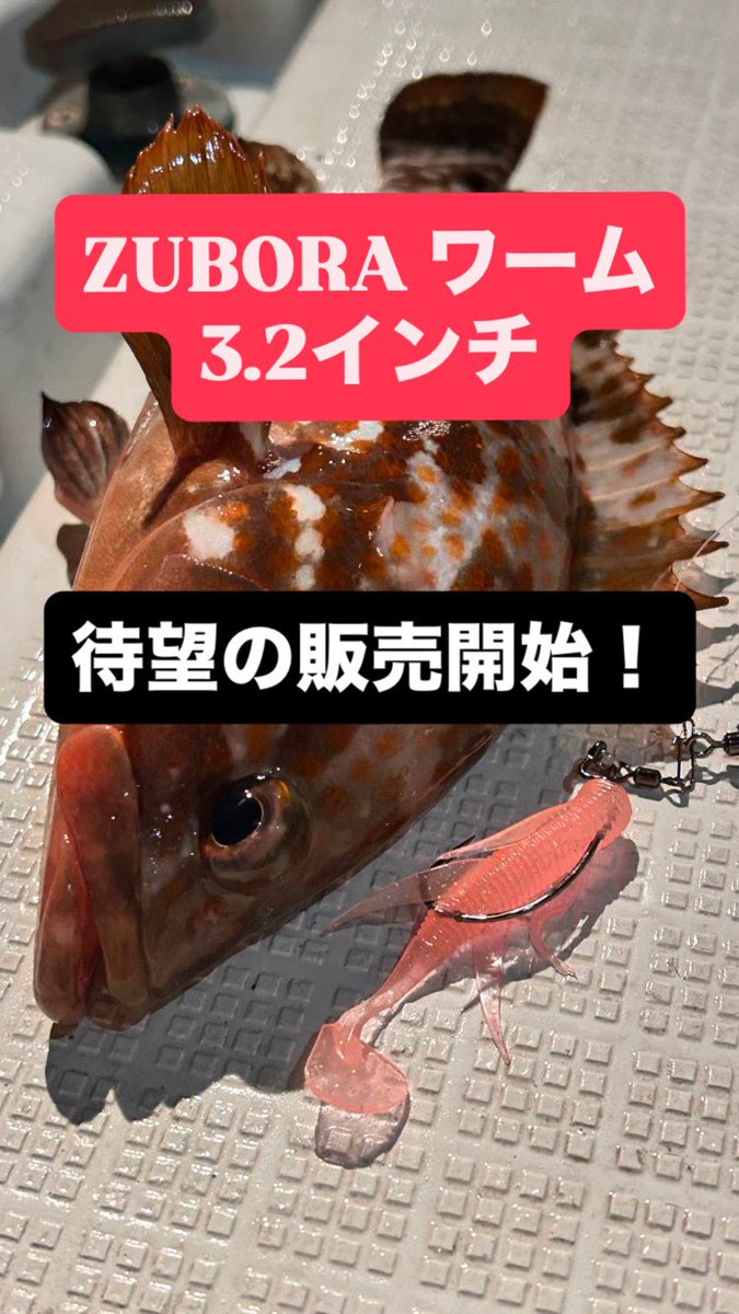 sibajigu's tweet photo. お待たせいたしました！
ZUBORA ワーム3.2インチの販売を開始いたしました！
キジハタはもちろん、マゴチやシーバスなどにもしっかりアプローチします！
是非、弊社販売サイトやお近くの釣具店などでお買い求めください♪

#シバジグ
#ZUBORAワーム
#めっちゃ釣れるワーム https://t.co/s10KVwXzzw
