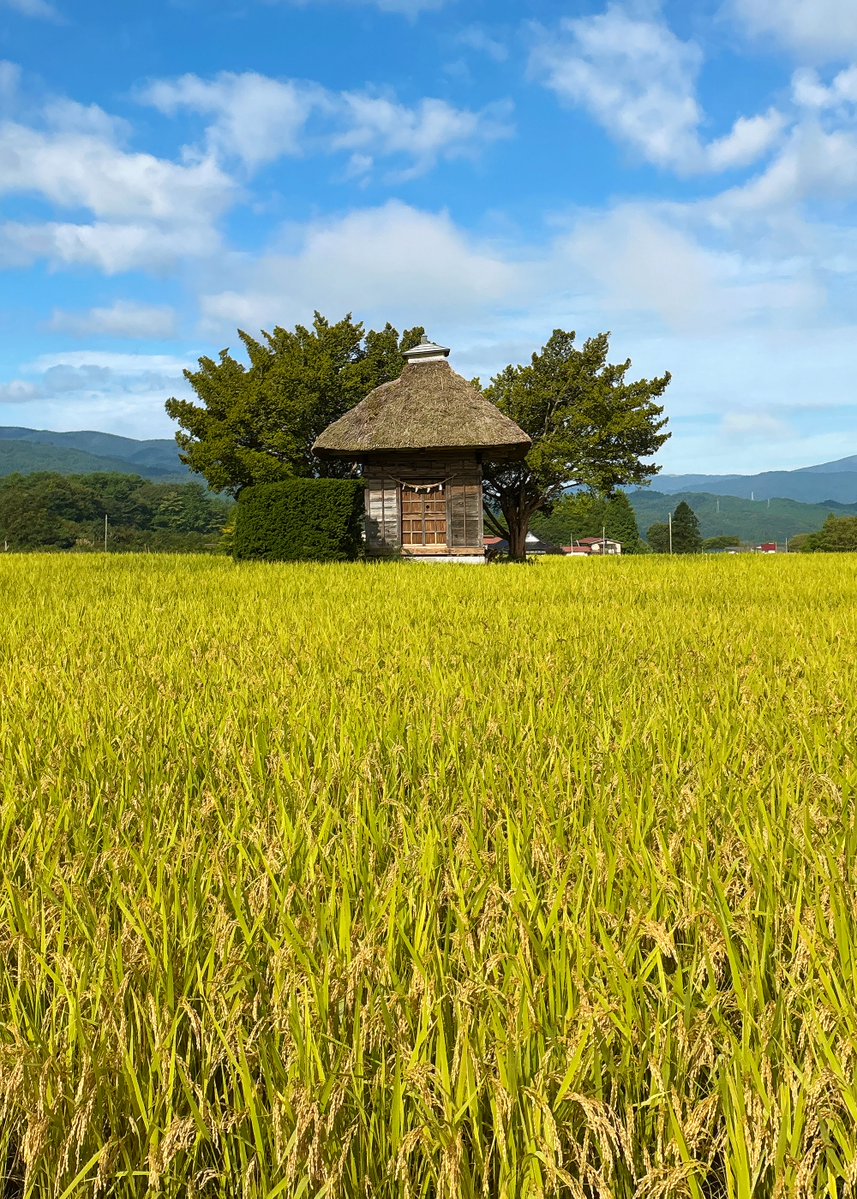 tonofurusato's tweet photo. 秋の実り、秋の空、秋の遠野。

#おいでよ遠野 

#荒神神社 #遠野 #岩手 #秋のお出かけ #遠野観光 https://t.co/YLgKt5RfzL