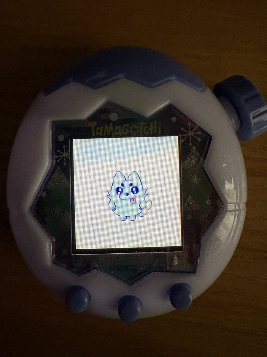 GameM4ttqn's tweet photo. 初めてブリードで育成してみたけど、夢かわウルフっち出来て大変満足！
肉食べるだけでごきげん良くなるのかこの子は　#たまごっちパラダイス https://t.co/DA04NHt20D