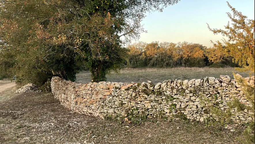 PatrimoineRural's tweet photo. L’association des Amis de Rocamadour (Lot) se mobilise pour préserver le patrimoine des chemins avec l'association "1 000 Mains sur les chemins de Saint-Jacques".
https://t.co/GeFqkwq8PN https://t.co/AupblPY1l3