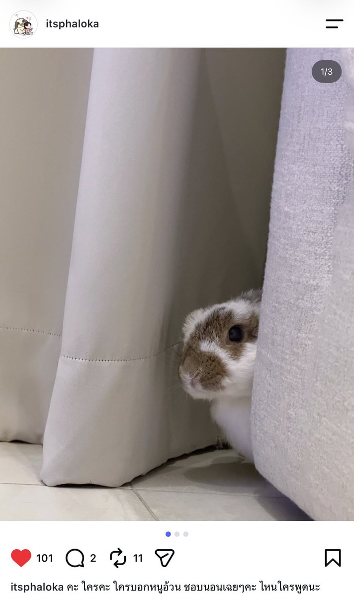 EngLotCruise's tweet photo. ไหนใครอ้วมมม ไม่มี๊ มีแต่พี่โล้ลมกรดดด 🐰💨

#itsphaloka https://t.co/w7pm0mPdpN
