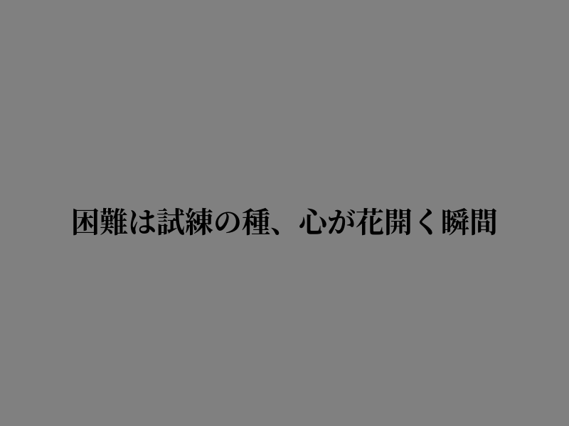 XiaoRiz's tweet photo. 静かな風が心に触れただけだ https://t.co/PdJiRLAn2y