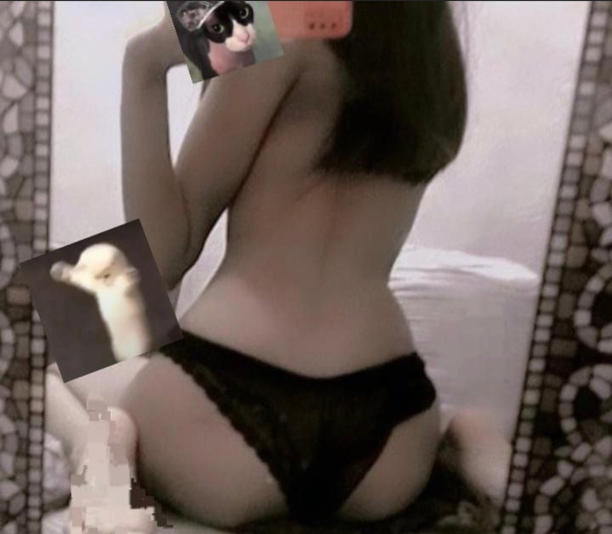 CuteElizabethh's tweet photo. Aún es tarde para un fotoculo? 
Necesito q alguien me morbosee como putita hoy :3 https://t.co/bI89BMcKam
