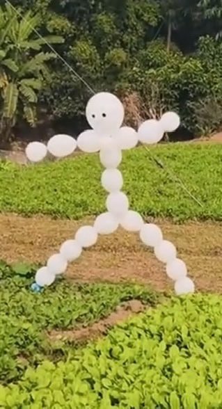 Strictlyirene's tweet photo. The birds don’t know if they should fly off or stand there and laugh. https://t.co/bxT33aPhK8