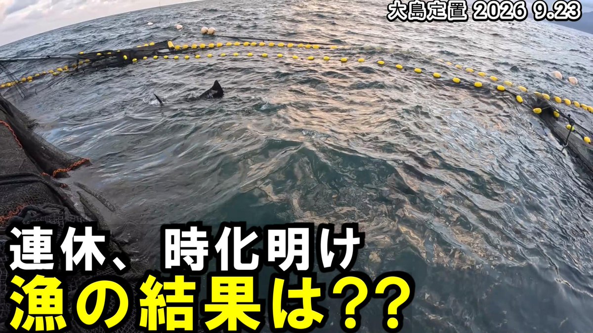 yaoti0040's tweet photo. https://t.co/nUgImXkbmq
本日の漁の動画も17時公開です
海中映像もあります
連休＆時化休み明けで魚がごちゃ混ぜの漁になりました

少しでもおもしろいと思ってくれたら チャンネル登録、高評価おねがいします

#漁師
#定置網
#若狭 https://t.co/PA8d8qWEov