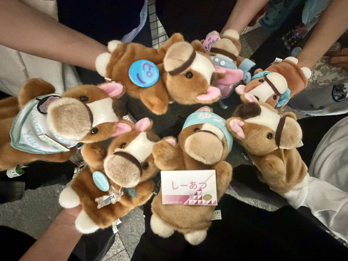 si_atsu's tweet photo. ゆっかーにしーあつーって言われながらエアハグされて目の前すぎてホントにハグされてる気持ちになって死んだ🤣🥰w
しーあつさっき見つけたよーとか言われたら惚れてまうやろー🩵🩵🩵🩵🩵🩵
しーあつポーズもあり！🐜

#菅井友香 
#ぷっはーと乾杯ラジオ 
#ぷっラジ乾杯祭
#サントリー生ビール https://t.co/OSV3vAS6Ug