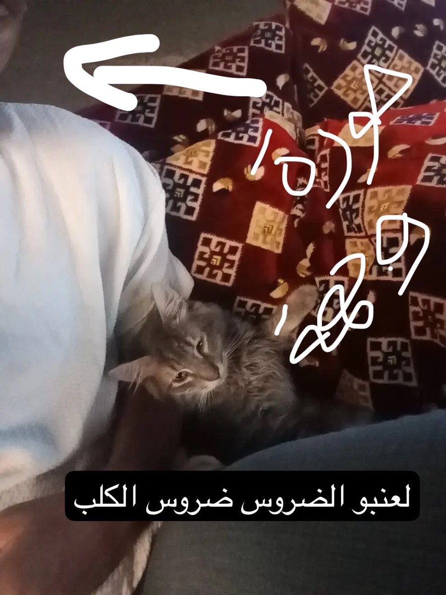 newrm88's tweet photo. #بنقالي_يعذب_القطط_في_السعودية يعاني من امساك عقبال ما تعاني من سرطان ينخر عظامك نخر يابن الكلب شوفوا وحده من الصور باين دقمه دقم الكلب https://t.co/txzK0wO8nZ