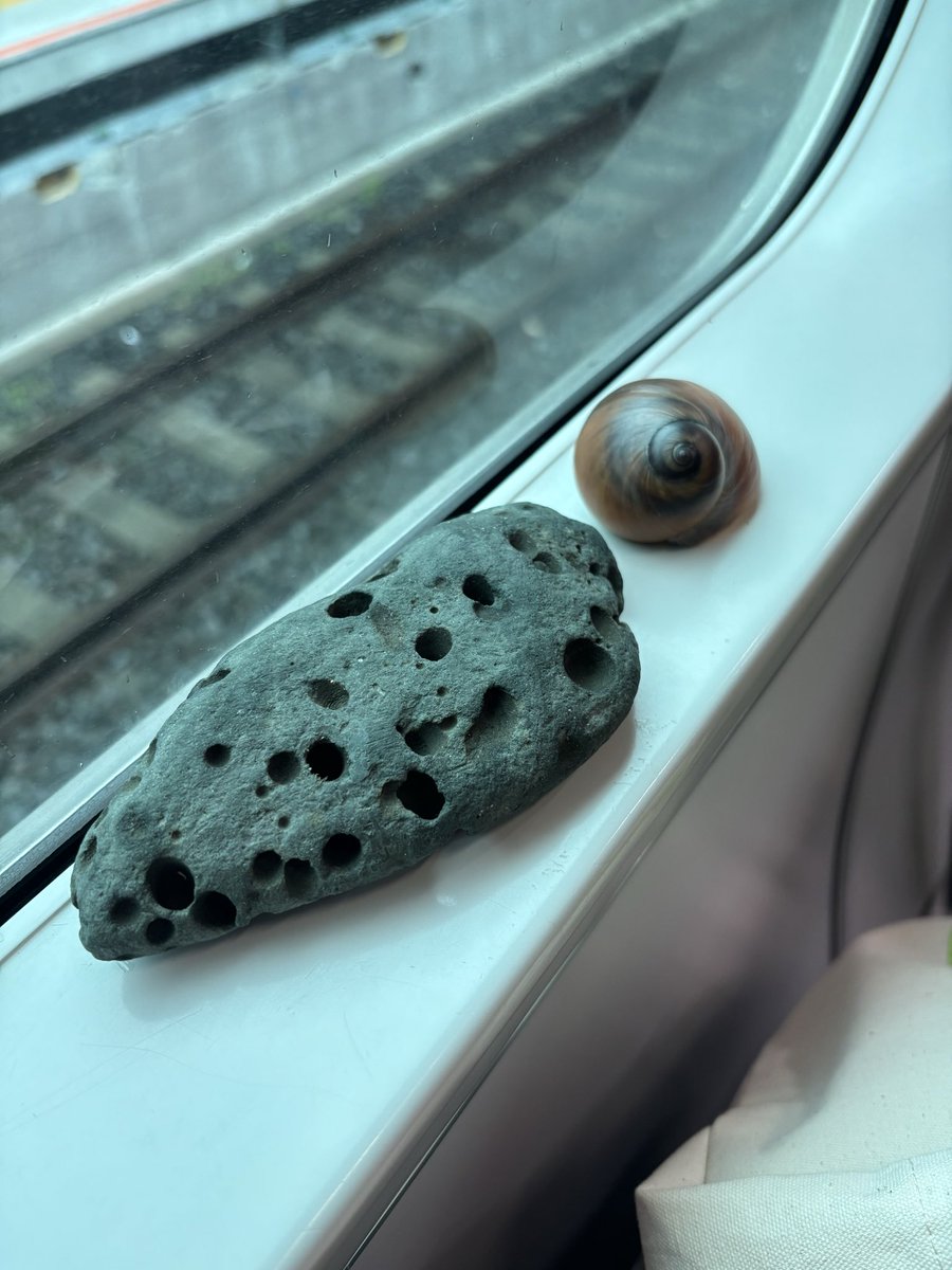 ritsukohanakoro's tweet photo. #イマソラ
#抹茶白玉ぜんざい❤️
#いつもと違う電車🚃で帰る🚃
#今日のお土産🪨🐚✨✨ https://t.co/7Wma7TDMba