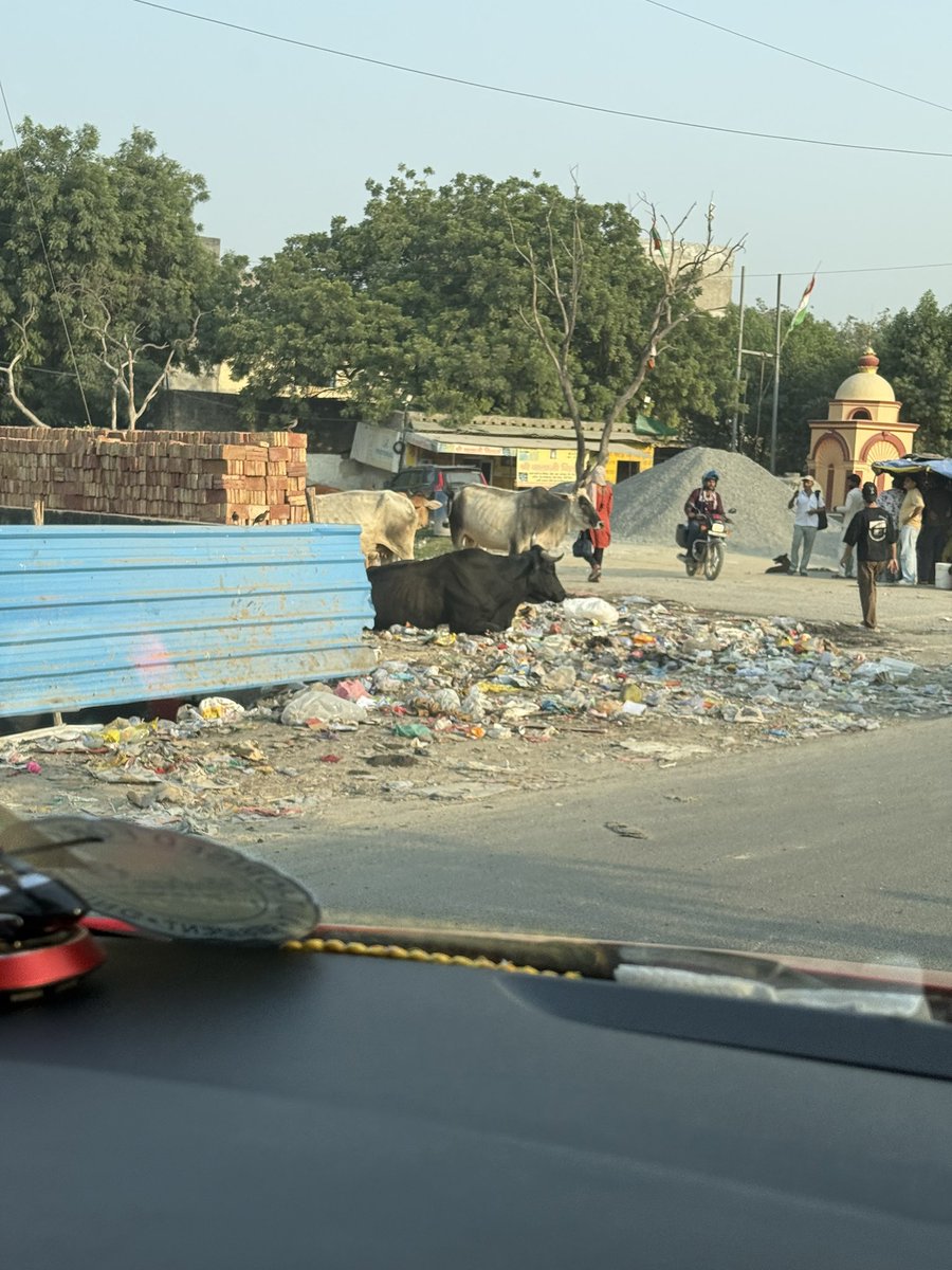 VIGILINDIAN1's tweet photo. @UPGovt @NGTribunal @CeoNoida @CM_YOGI_UP @OfficialGNIDA  This is ATS chowk road-Bisrakh: Yadavvanshi chowk road. Daily garbage is thrown on road leading to health risks. Pls take due diligence on this. https://t.co/rwBDk8Vi9r