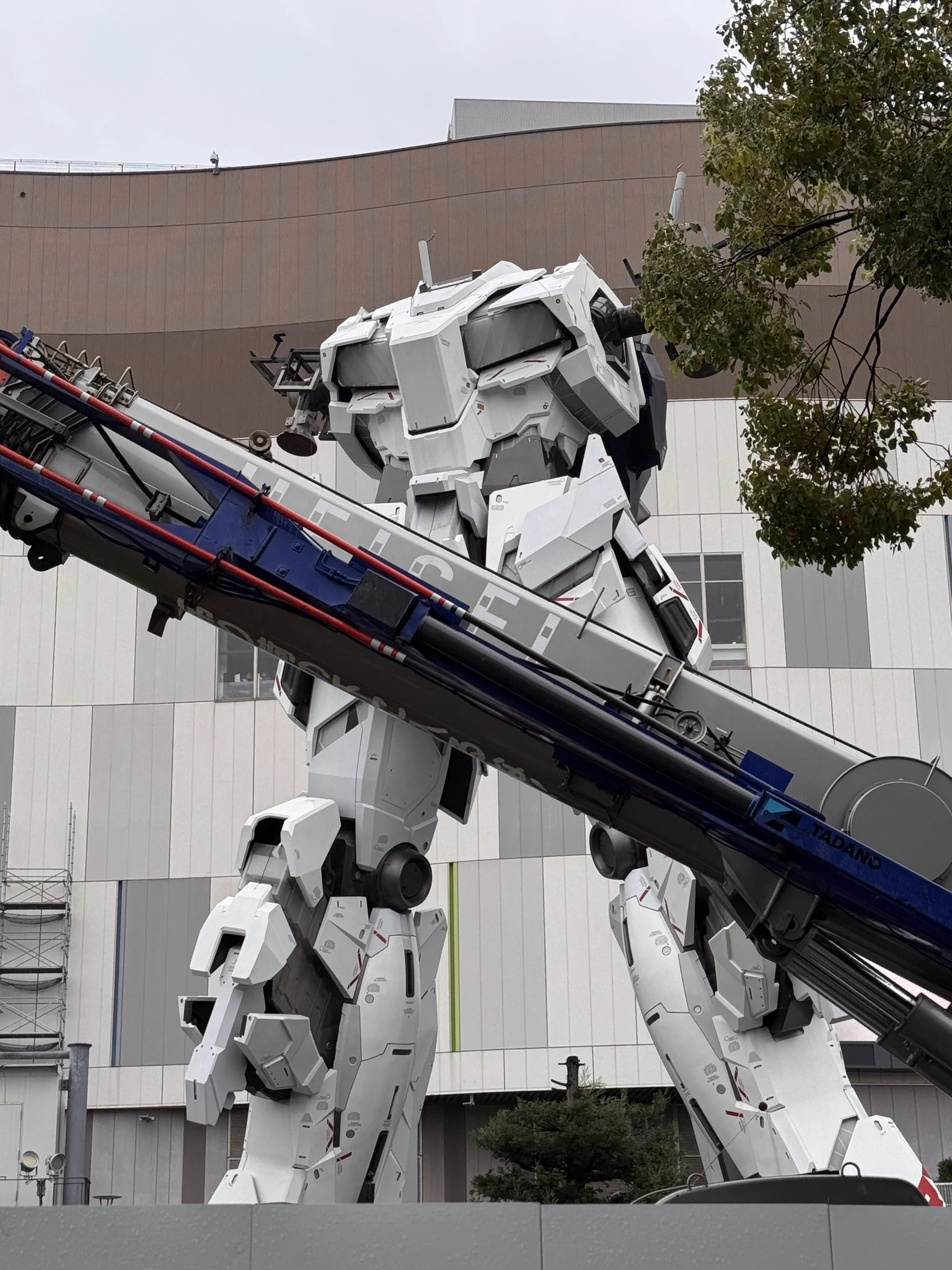 こーじ on X: 