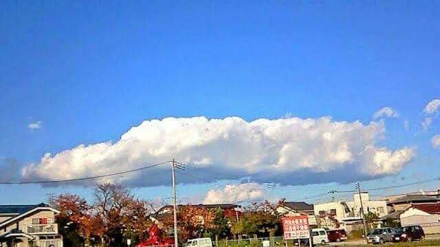 china_cnm's tweet photo. 20年ぐらい前に撮った写真が出てきた📸
懐かしいな~☺️

そういえば、この頃｡｡｡写真撮るの好きだったんだよね💠🌼*･🐝🌳☁💠 https://t.co/xMbpJI3fDf