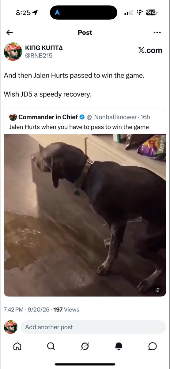 Johnxdoe11's tweet photo. @_Nonballknower @lord_brunson Yall soft ass bummanders be trolling and blocking 🤣🤣🤣🤣  @RNB215 https://t.co/w4OhwIuHB3