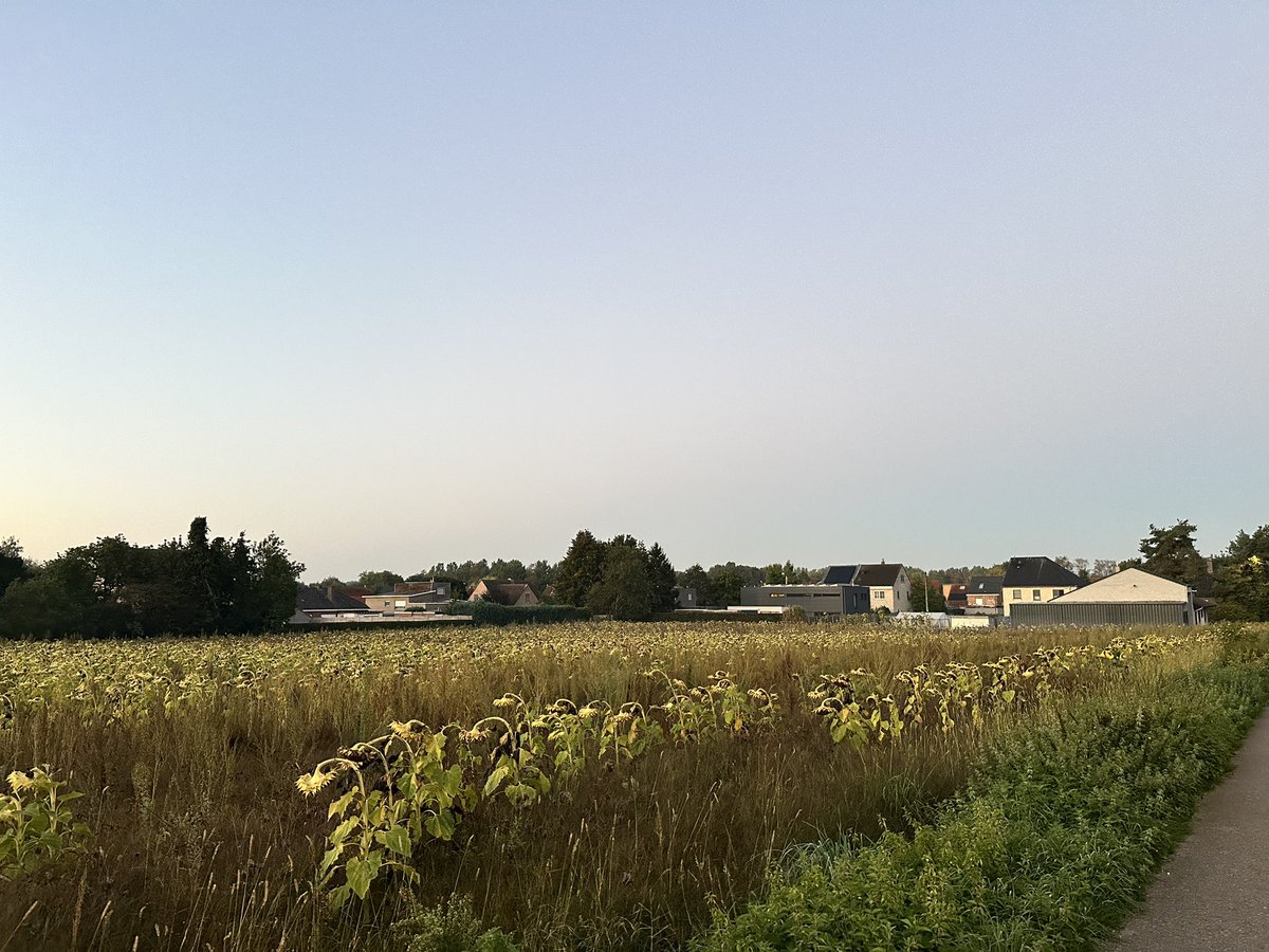 av8andco's tweet photo. 7u08 Wezemaal #vrtweer https://t.co/HItyDpj4vP