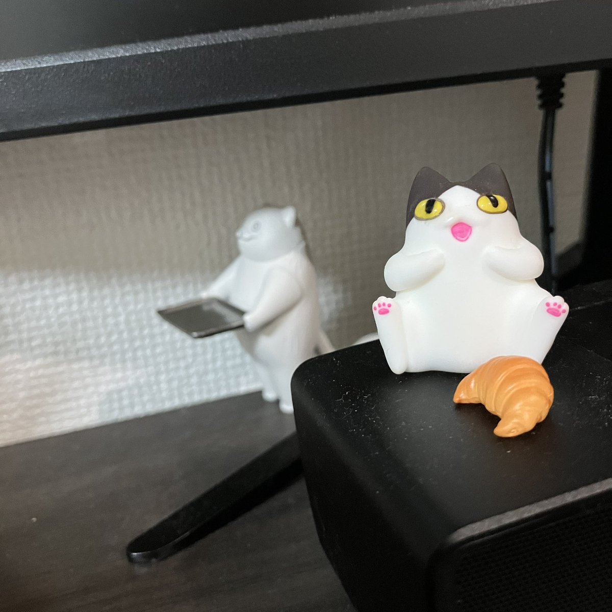 Kuma_00_Sh's tweet photo. クロワッサンをくすねた猫と
クロワッサンを探し求め彷徨う猫。 https://t.co/nkI9lgnCvn