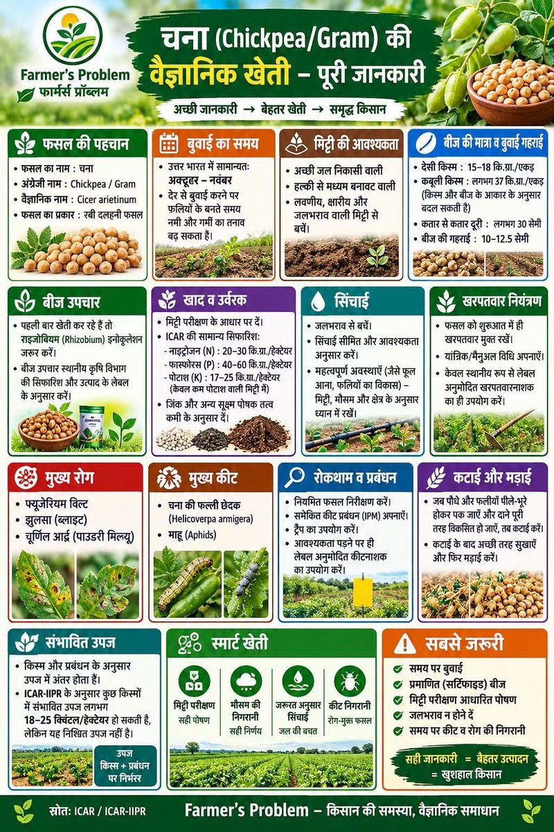 VigyanMon's tweet photo. चना की वैज्ञानिक खेती 🌱 | बुवाई से कटाई तक पूरी जानकारी | @
@Farmer’s Problem
#वैज्ञानिकखेती #स्मार्टफार्मिंग #फसलकीजानकारी #किसानसमस्या #FarmerProblem #FarmersProblem #IndianFarming #Agriculture #FarmingTips #KisanTips #RabiCrop #दलहन #दलहनकीखेती https://t.co/GVyKmaJPz1